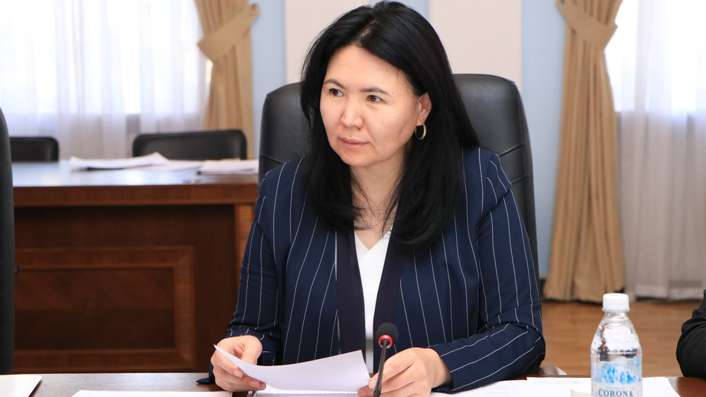Жаштар жана шайлоо: Жоопкерчиликтүү катышуу мезгили